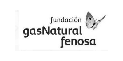 fundacio-gas-natural